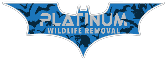 Animal Removal Vigo County