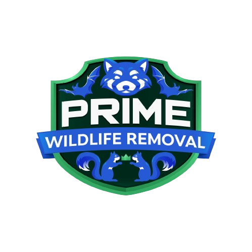 Animal Removal Vigo County